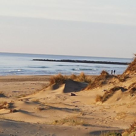 T2 Rdc Avec Jardin, Cap D'Agde, Secteur Falaise, 100 M Plage, Clim, Wifi, Parking المظهر الخارجي الصورة